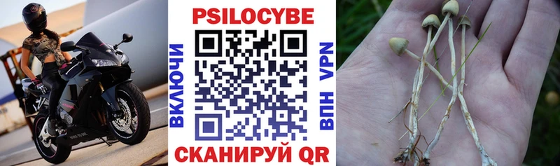 мориарти клад  Рассказово  Галлюциногенные грибы Psilocybe  купить  
