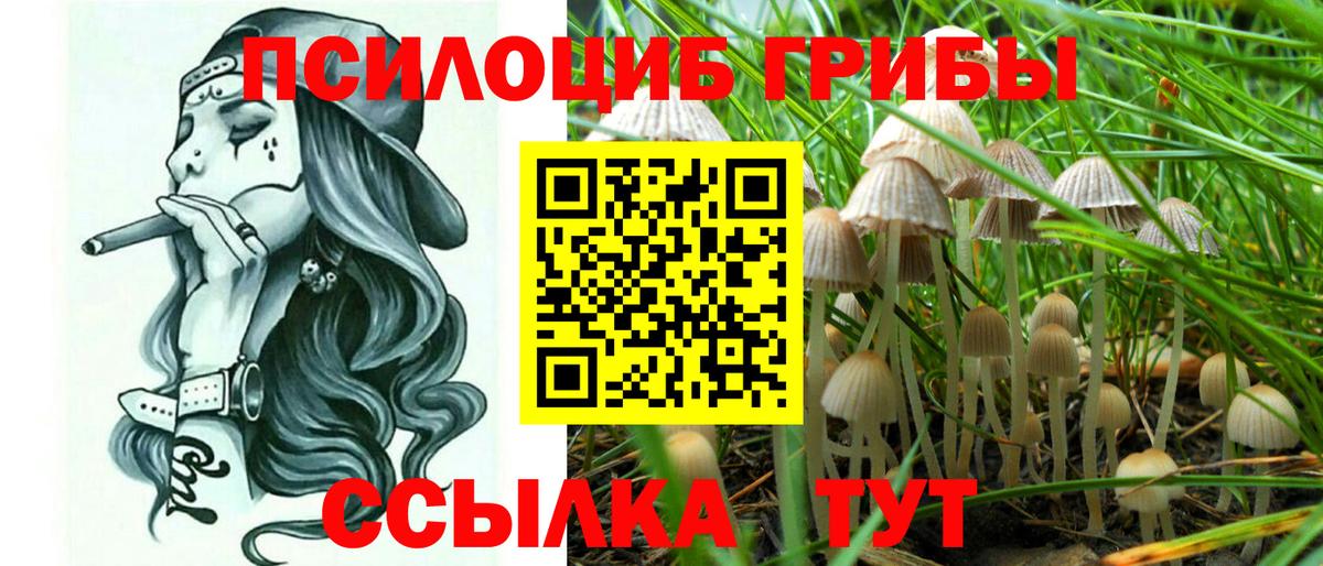 Псилоцибиновые грибы мухоморы Рассказово