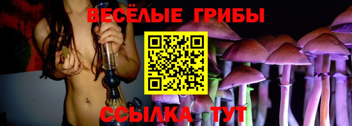 Галлюциногенные грибы ЛСД  Вход с VPN  Рассказово 